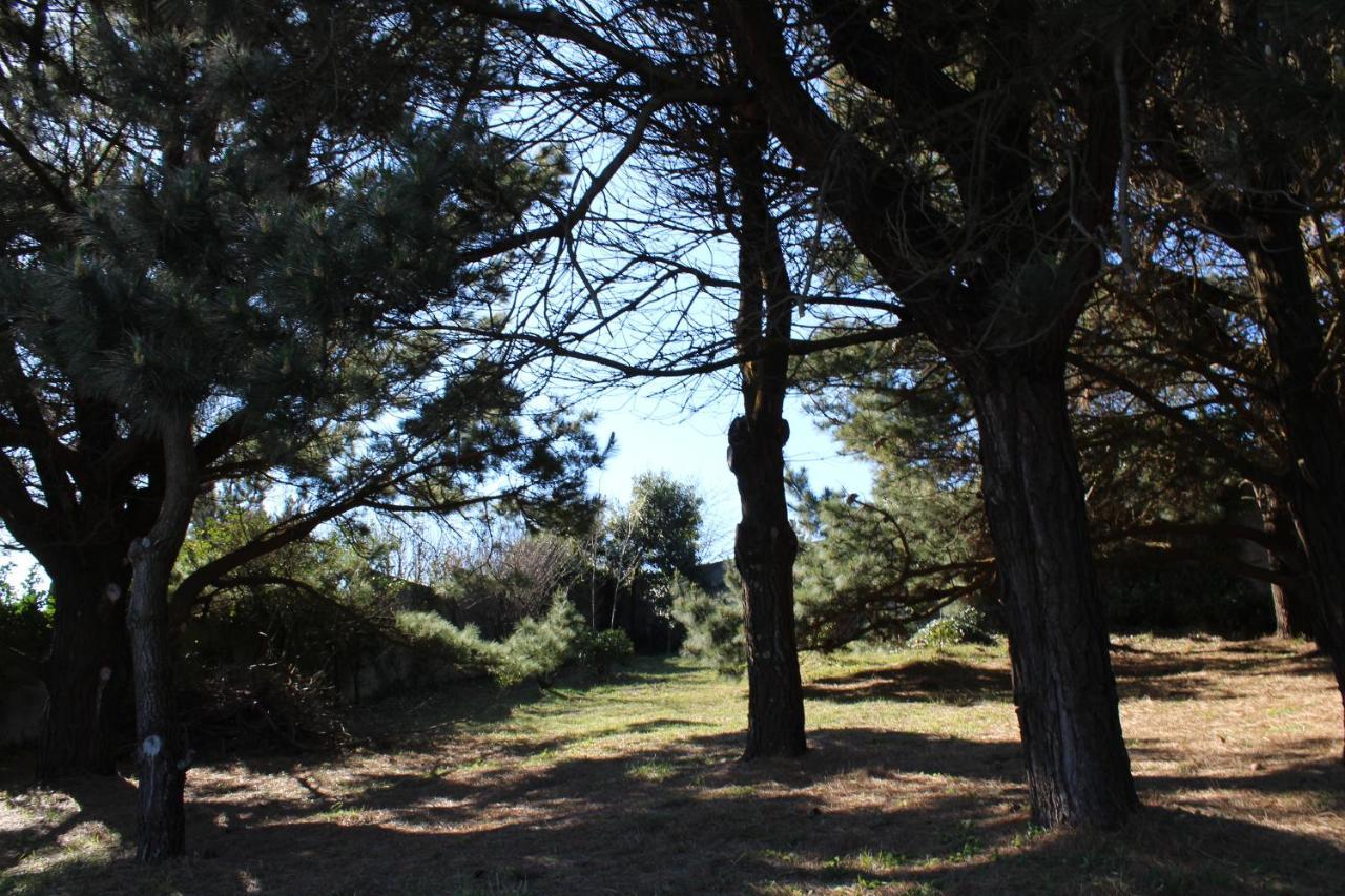 פרול Finca Dos Mares מראה חיצוני תמונה